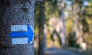 canalisation - chemin de vie