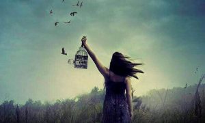 oiseaux qui s'envolent