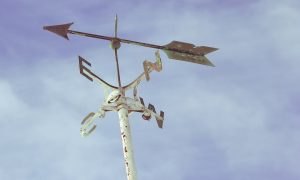 wind-rose-1209398_1920